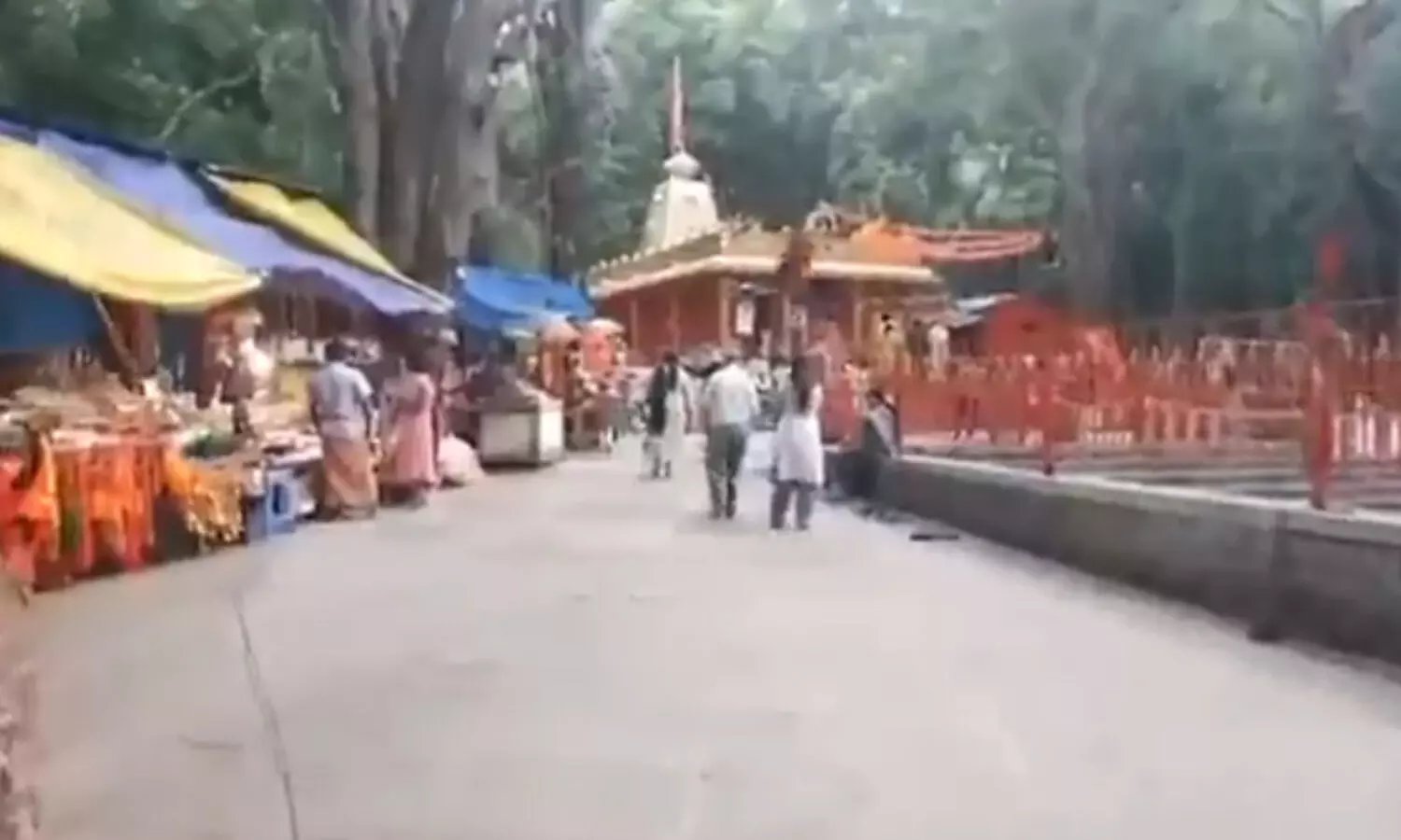 Woman sustains head injury when tree branch falls near Tirumala temple