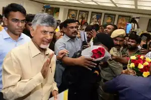 Chandrababu Disbands All TDP Committees in Telangana