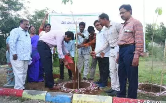 DC Highlights the Importance of Cleanliness and Green Initiatives