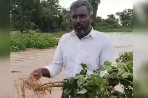 Devastating Floods in Boyalagudem: Farmers Left in Despair