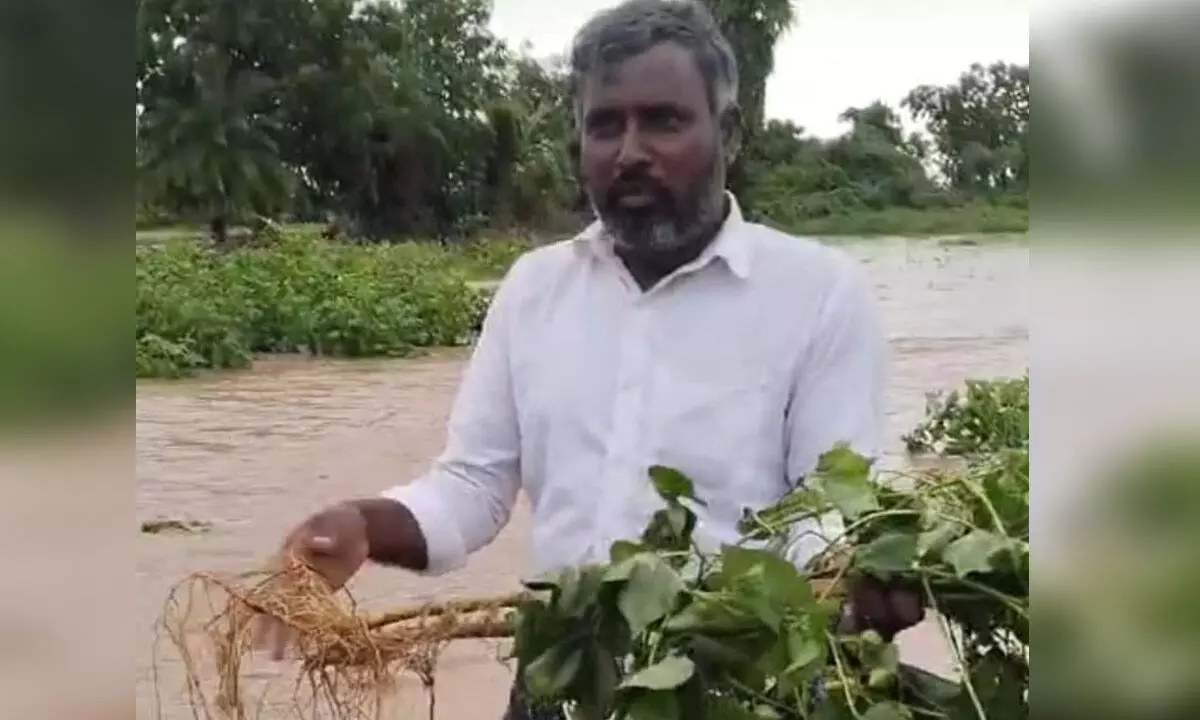 Devastating Floods in Boyalagudem: Farmers Left in Despair