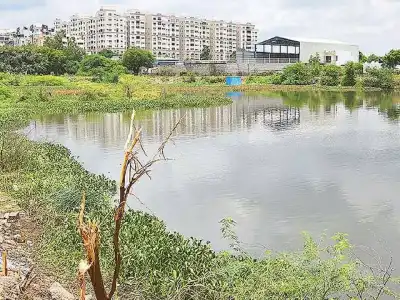 Encroachments Devour Hasmathpet Lake