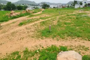 Fake documents used for land encroachments reported in Wanaparthy