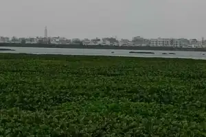 Fox Sagar: Once a Lifeline for Thirsty Communities, Now Overrun by Encroachers