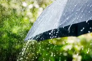 Heavy Rains Expected in Andhra Pradesh Starting Today Due to Low-Pressure Area