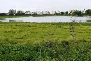 Kapra Lake, Once a Vital Drinking Water Source, Struggles for Survival