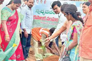 “Lack of Care for Saplings”