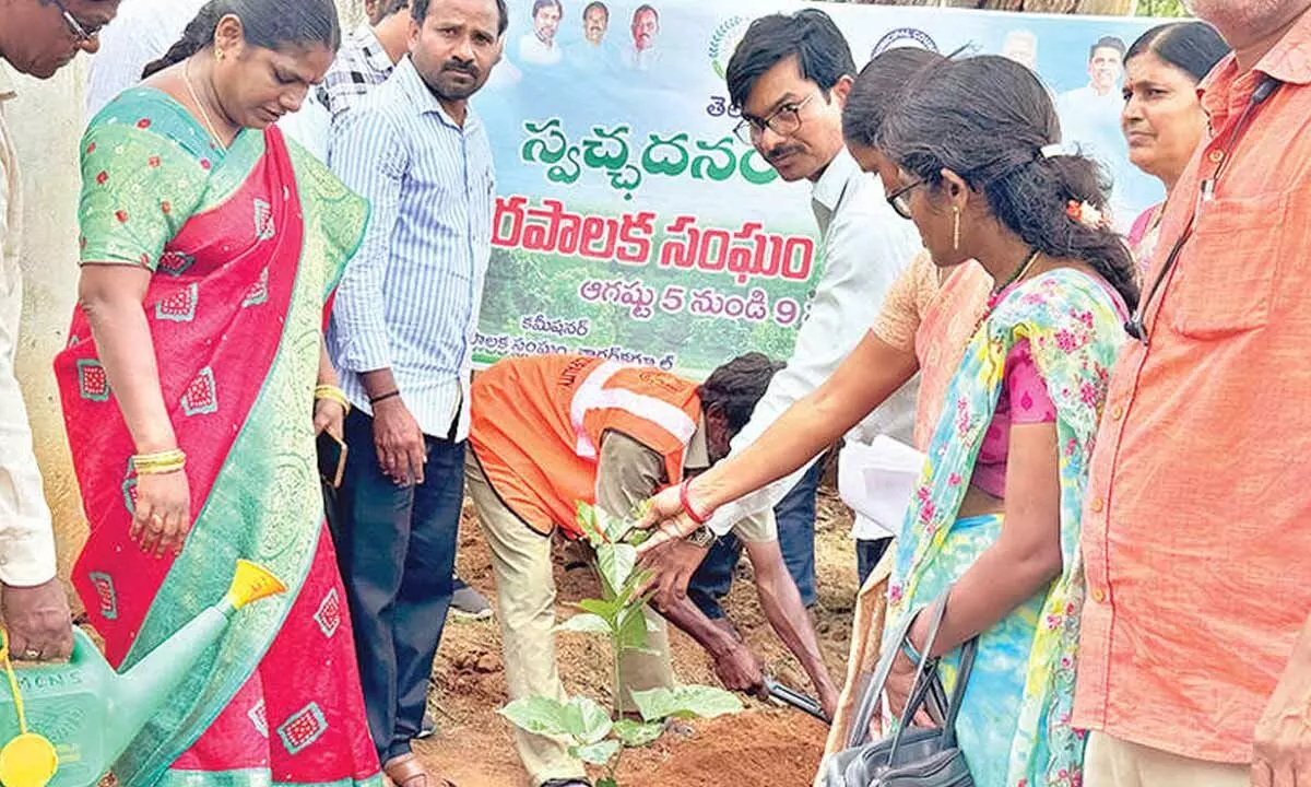 “Lack of Care for Saplings”