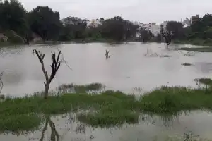 Lack of post-demolition measures at water bodies sparks concern