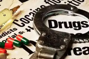Police Arrest Five Drug Dealers, Seize 803 Kilograms of Cannabis