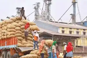Rice Millers Fail to Deliver CMR Rice