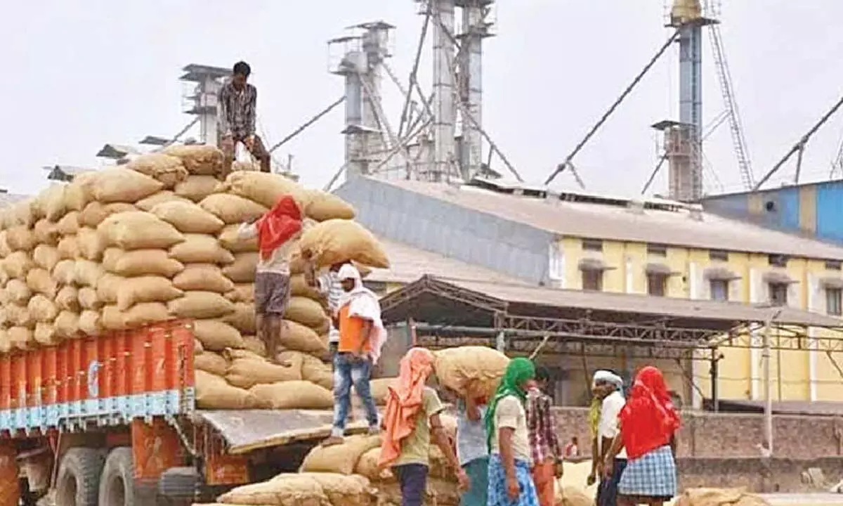 Rice Millers Fail to Deliver CMR Rice