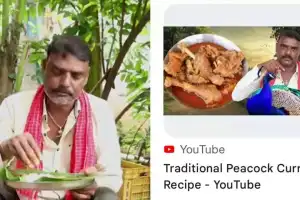 Sircilla YouTuber in Legal Hot Water for Peacock Curry Video