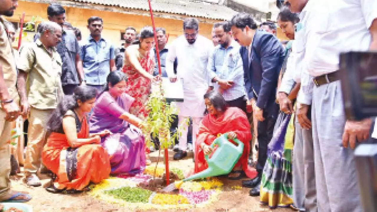 Swachadanam-Pachadanam: 275,000 Saplings Distributed Over Five Days