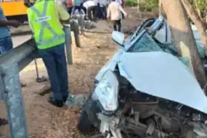 Telangana: Three Dead in Car Crash with Tree in Nagarkurnool