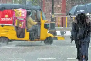 Telangana to Experience Moderate Rainfall; Yellow Alert Announced for 12 Districts