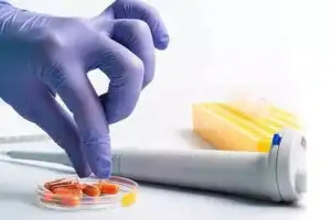 UoH Workshop on Drug Development Concludes