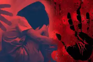 Young girl sexually assaulted and tortured in NTR District