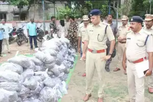 900 Kg of Ganja Seized in Adilabad, Two Arrested by Police