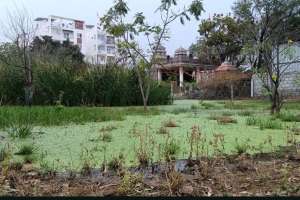 Stagnant Water on Roads Causing Dengue in Simhapuri Colony, Bachupally