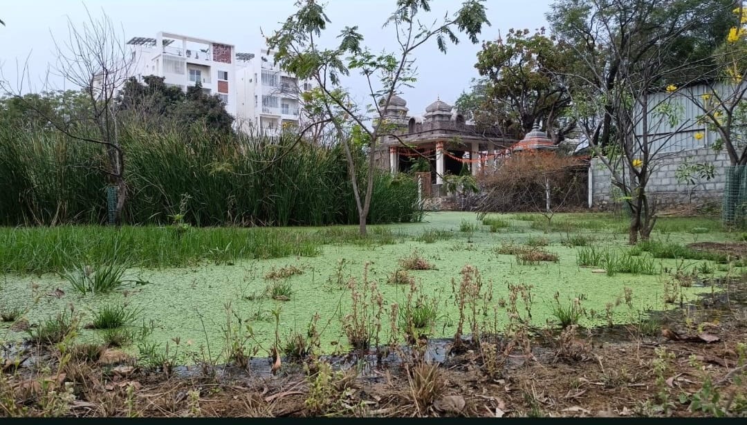 Stagnant Water on Roads Causing Dengue in Simhapuri Colony, Bachupally