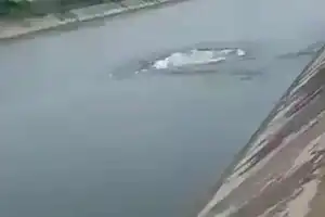 Breach Occurs in Sagar Left Canal