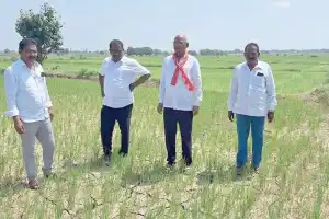 CPI Leaders Assess Drought-Affected Crops