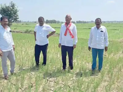 CPI Leaders Assess Drought-Affected Crops