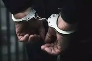 Cyberabad SOT Arrests Drug Peddler, Seizes 12.7 kg of Ganja-Infused Chocolates