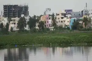 Developers encroach on Uppal Lake, leading to severe water quality deterioration