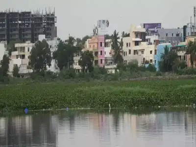 Developers encroach on Uppal Lake, leading to severe water quality deterioration