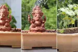 Eco-Friendly Festival Initiative: Seed Ganesha Launched