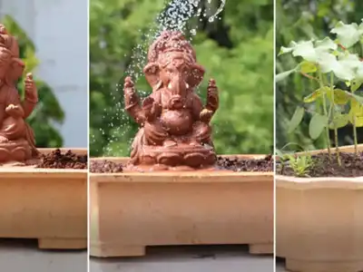 Eco-Friendly Festival Initiative: Seed Ganesha Launched