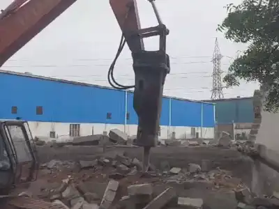 HYDRA demolishes city corporator’s property