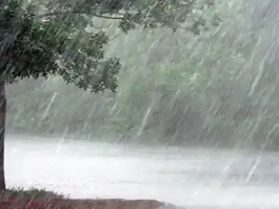 Telangana Prepares for Heavy Rainfall as IMD Issues Yellow Alert