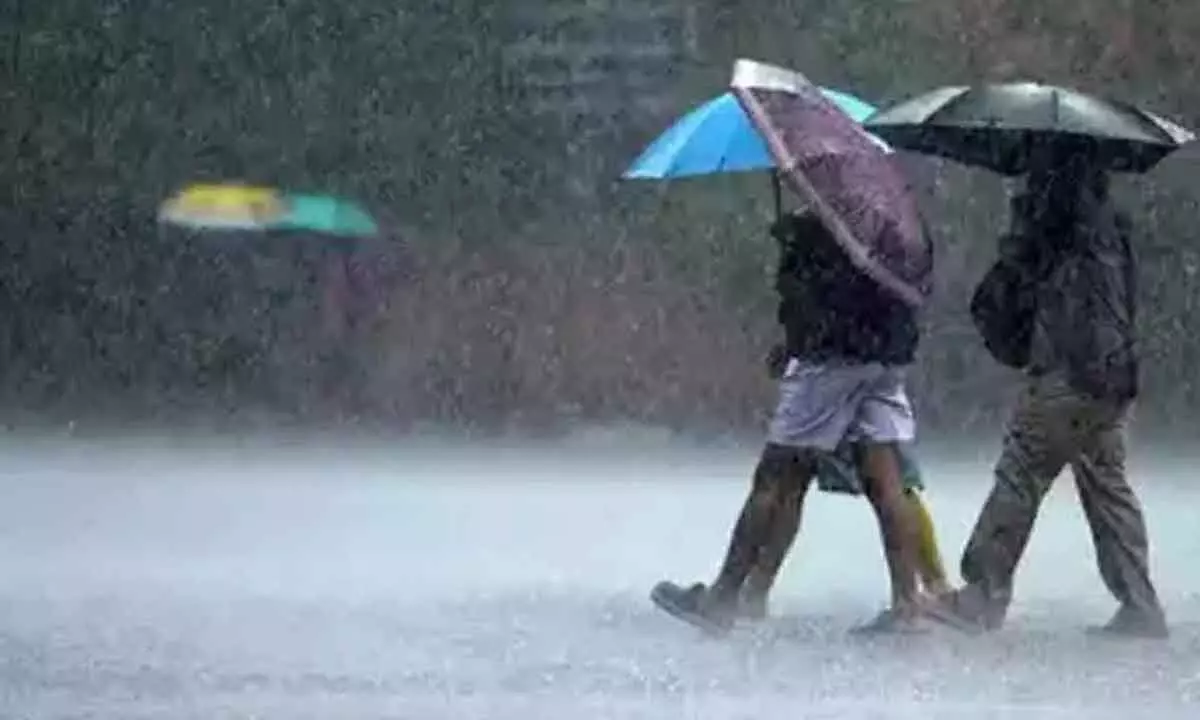 Torrential Rain Floods Low-Lying Areas in Warangal, Disrupting Daily Life