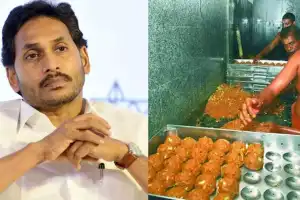 YSRCP Moves High Court, Requests CBI Investigation into Tirumala Laddu Controversy