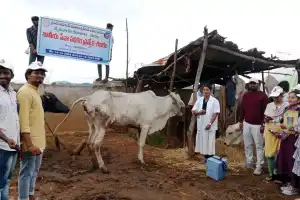 Agricultural College Students Launch Awareness Campaign on Galikunta Disease for Farmers