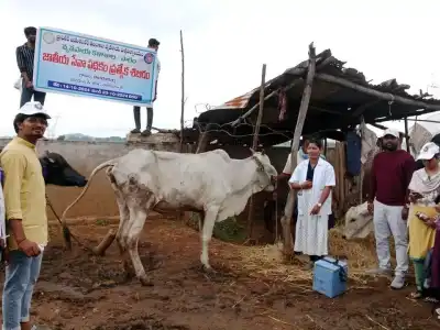 Agricultural College Students Launch Awareness Campaign on Galikunta Disease for Farmers