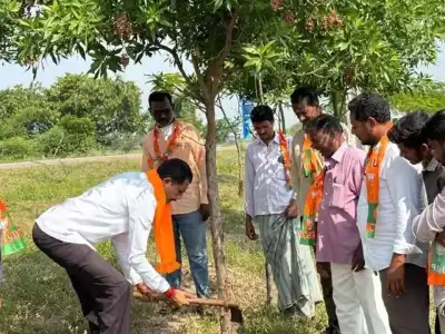 BJP Protests Against Planting of Conocarpus Trees