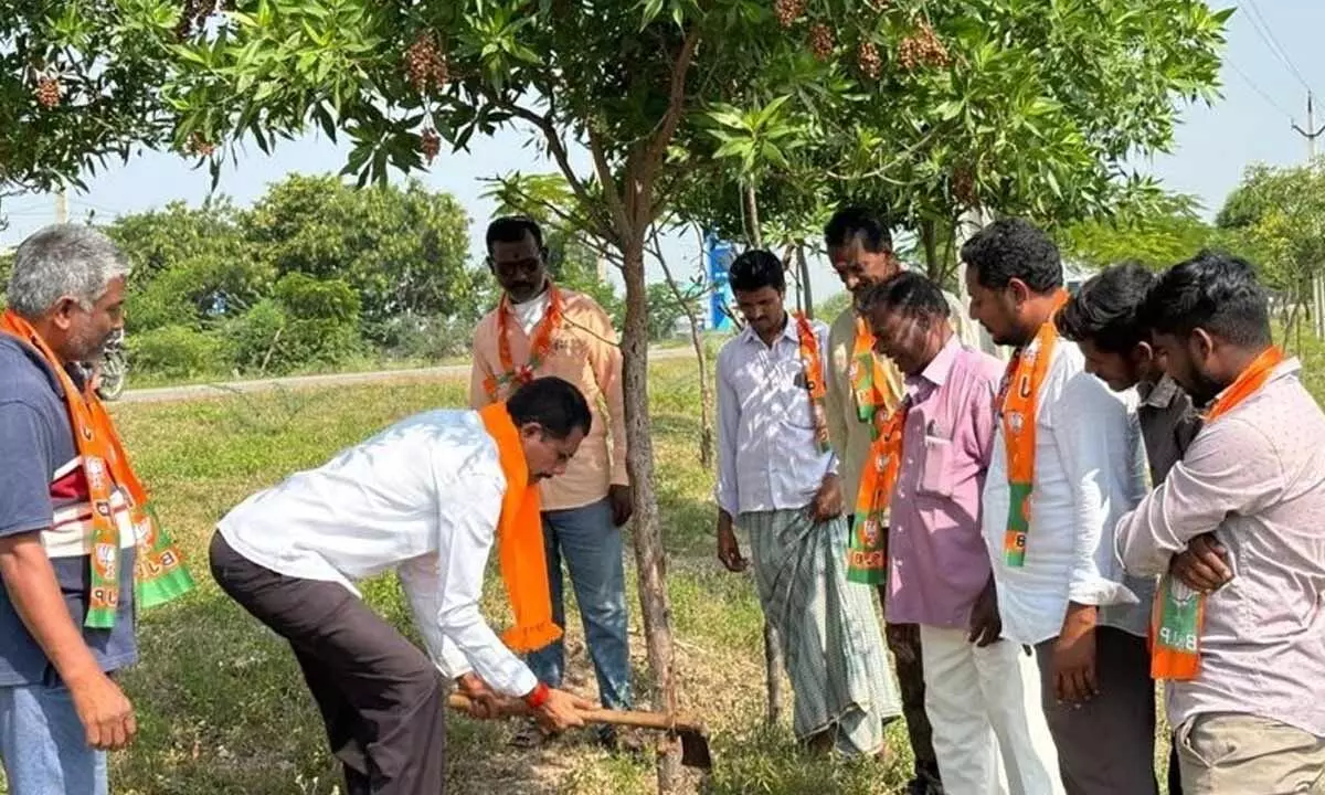 BJP Protests Against Planting of Conocarpus Trees