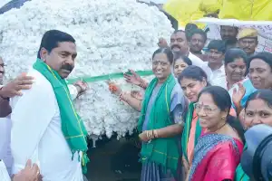 CCI to Purchase Entire Cotton Stock: Surekha