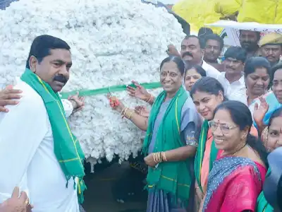 CCI to Purchase Entire Cotton Stock: Surekha