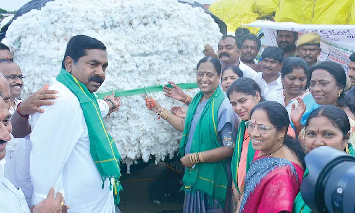 CCI to Purchase Entire Cotton Stock: Surekha