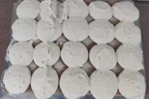Centipede Discovered in Idli, Hotel Shut Down