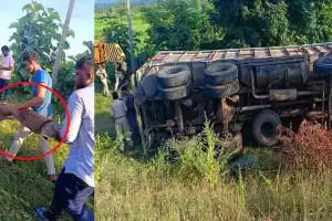 Crocodiles Captured After Truck Overturns