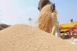 Ex-MLA Launches Paddy Procurement Centre