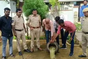 Excise Police Target Illegal Liquor Production Operations