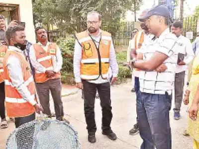 GHMC Intensifies Efforts to Control Stray Dog Problem