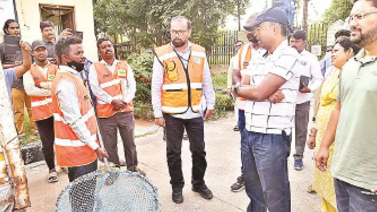 GHMC Intensifies Efforts to Control Stray Dog Problem